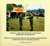 The flags and standards of the Swedish Armed Forces after the turn of the millennium